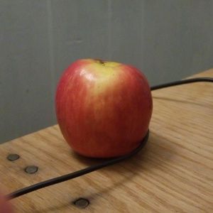 Meet your Posher, Fernando